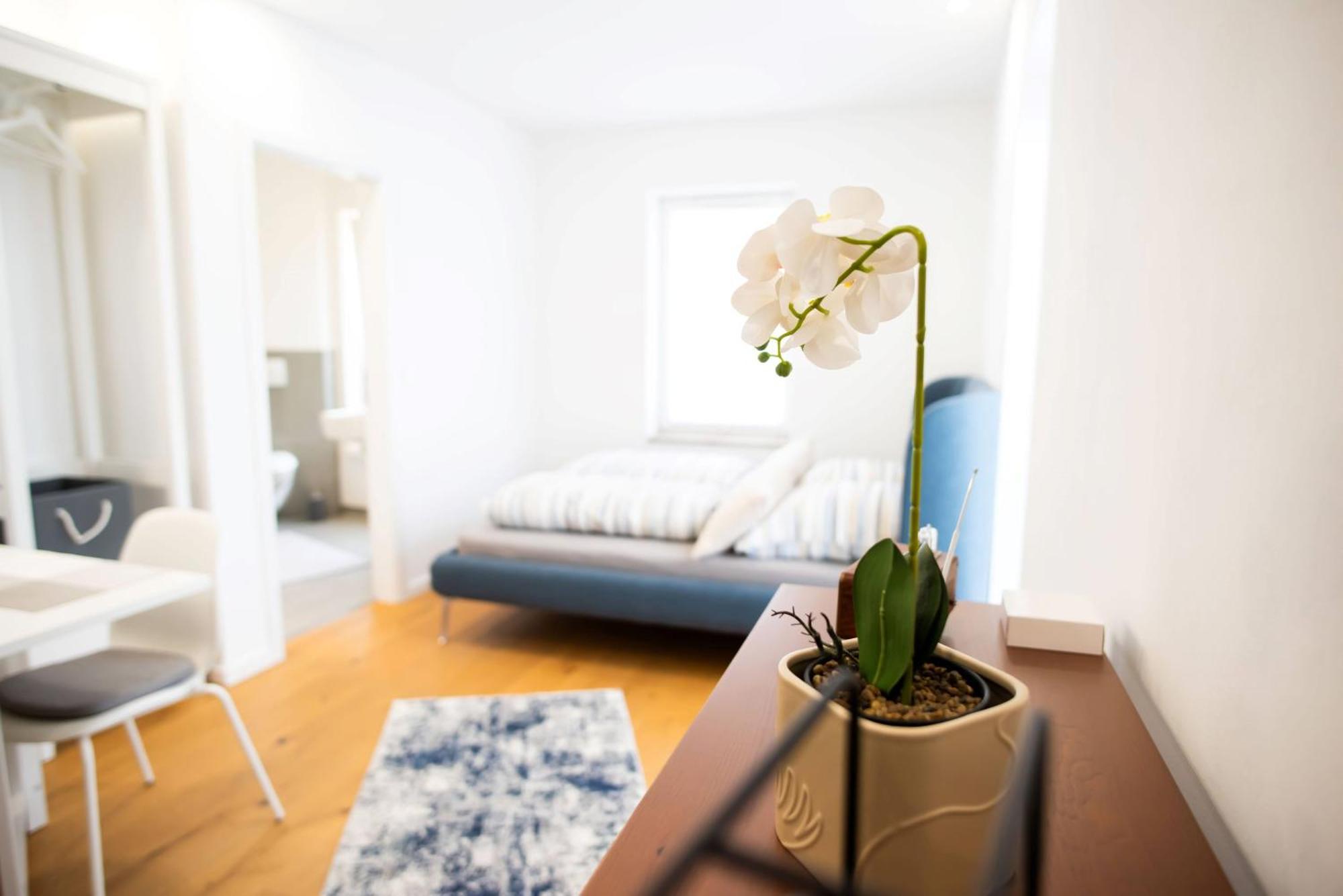Appartement Zentral Gelegenes